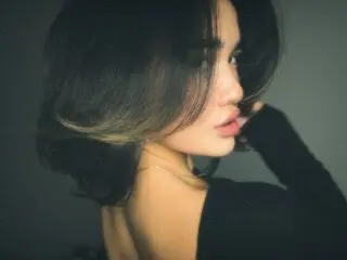 VinaSky lj webcam free